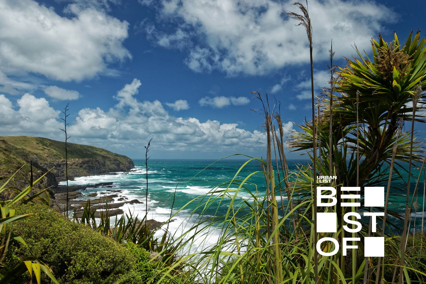 The Hillary Trail is one of Auckland's best walks.